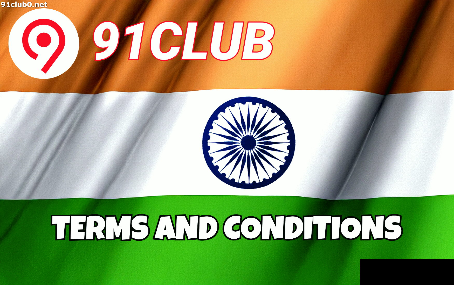 Terms and Conditions